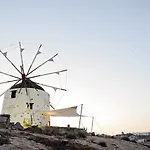 Windmill * 쿠포니시아