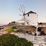 Windmill * 쿠포니시아