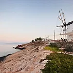 Windmill * 쿠포니시아